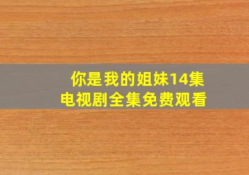 你是我的姐妹14集 电视剧全集免费观看